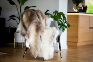 ✨ Objavte čaro sobej kožušiny – kúsok prírody, ktorý zmení atmosféru vášho domova, chaty či kancelárie. 👉...